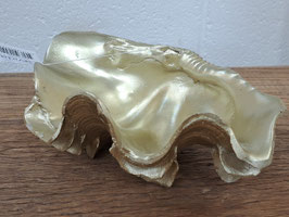 BRAND NEW Decor Gold Clam Shell
