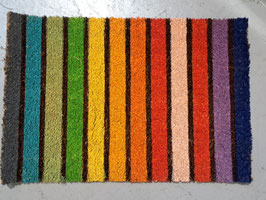 BRAND NEW Rainbow Stripe Door Mat