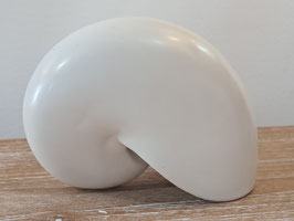 Small Decor White Shell