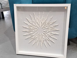 Glass Framed White Coral Wall Art