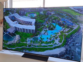 "LG OLED" 65" Smart TV with Remote