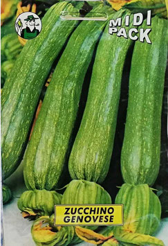 BUSTA ZUCCHINO GENOVESE