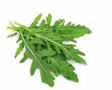 0014 RUCOLA IN VASCHETTA DA 4