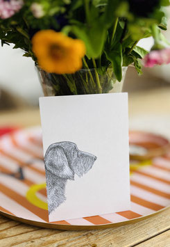 ask a duck Postkarte " Dackel "