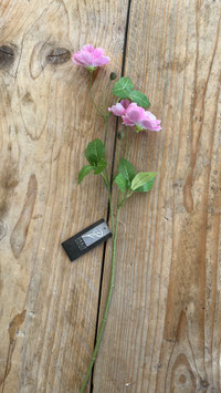 Mohn Zweig Pink