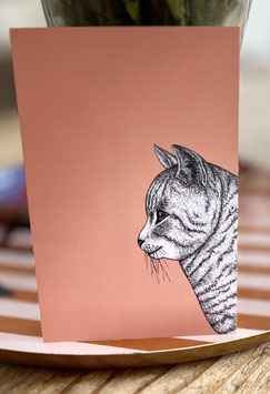 ask a duck Postkarte " Katze "