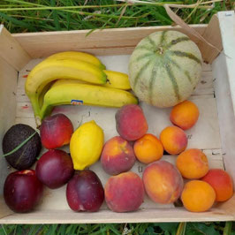 Panier de fruits