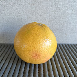 Pomelos