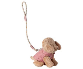 Pet supply Leine&Anzug ohne Welpen