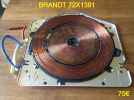 FOYER INDUCTION : BRANDT 72X1391