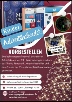 Kinder Adventskalender