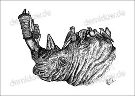 .Döner Rhino Postkarte.