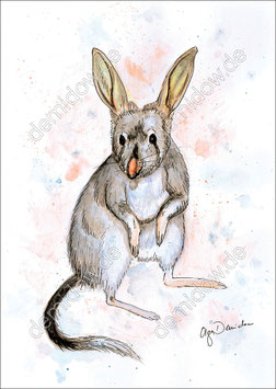 .Bilby Postkarte.