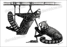 .Ressa Shibari Postkarte.