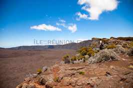 EXCURSION VOLCAN SUD SAUVAGE