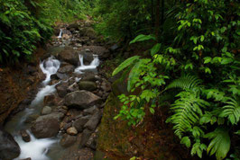 Canyoning VAUCHELET SAINT-CLAUDE VI