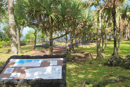 EXCURSION SUD SAUVAGE