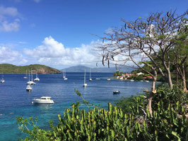 Séjour en Gîte RANDONNEE GUIDEE BASSE-TERRE + location vehicule cat A 9j/7n 2 pers SAINT-CLAUDE VI