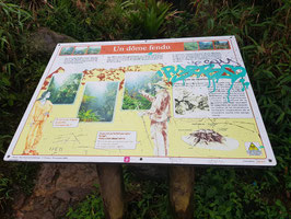 Forfait Escale nature EN LODGE 2 jours/ 1 nuit 2 pers VI