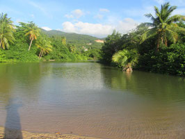 Visite de la Mangrove à Sainte-Rose BL