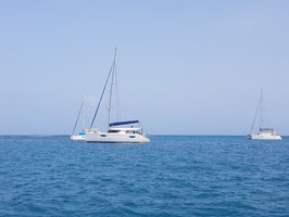 Excursions catamaran demi-journée ILET DU GOSIER + visite aquarium inclus ! ST