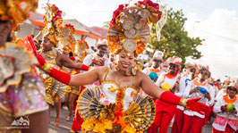 DEAMBULEZ DANS UN GROUPE DE CARNAVAL !