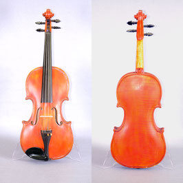 Miguel Ortega Leon Violin