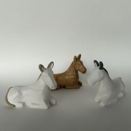 ANE COUCHÉ. NOUVEAU NOËL 2025