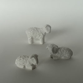 Lot des 3 Moutons