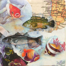 B - AUF NACH SÜDAMERIKA