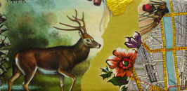 B - FRANZÖSISCHER HIRSCH