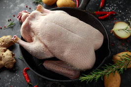 Brandenburger Weidente Bioland ca.2,5 kg Vorbestellung und Anzahlung 25 Euro