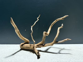 "超限定" スーパープレミアムスマトラウッドS #630