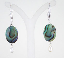 Paua-Muschel-01-Oh
