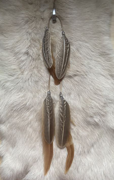 Plume marron