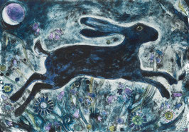 Moonlight Hare