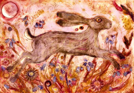 Harvest Hare