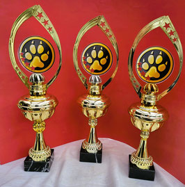 3er Serie Acryl Pokale Hund Hundesport Gravur Pokal EXKLUSIV NUR HIER!