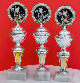 Kampfsport 3er Serie Judo Gold Silber Bronze