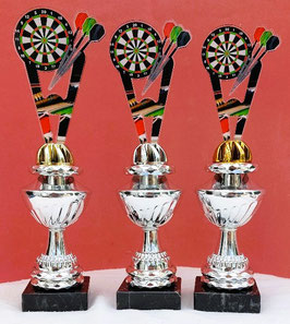 Super Schnapper Günstig! Pokale Pokal Steel -Dart  E- Dart Darts mit Gravur NEU Alles muss raus
