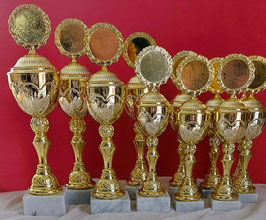Schnapperpreis für eine 12er Serie Pokale in gold, inklusive Gravurschild und Emblem