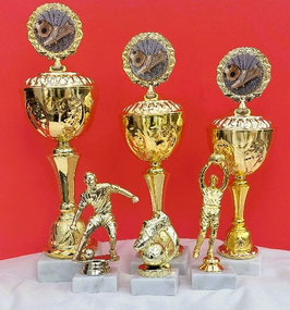 NEU Pokale Pokal Fußball 6er Set Snow gold Pokalserie mit Gravur