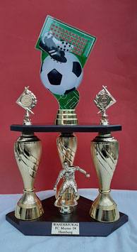 Säulenpokal Fußball Acryl Gold,inklusive Gravurschild und Figuren.