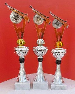 Pokal 3er Serie Acryl Gewehr oder Pistole auf Silbernen Pokalen & Gravur NEU