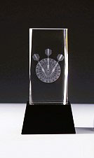 3D Dart Glas Trophäe mit Geschenk Box