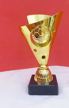 Kleine Fußball Pokale für die Kinder Turnier - statt Medaille mal was anderes