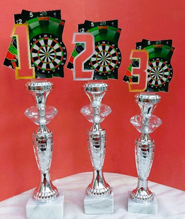 Neu ! 3er Serie Dart Acryl Steel oder E-Dart auf Diamanten Pokale NEUHEIT  incl.Gravur