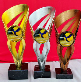 3er Serie  Volleyball Damen oder Herren