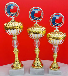 Tischtennis 3er Serie Gold / Weiß
