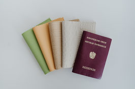 Passport Cover - Pastel